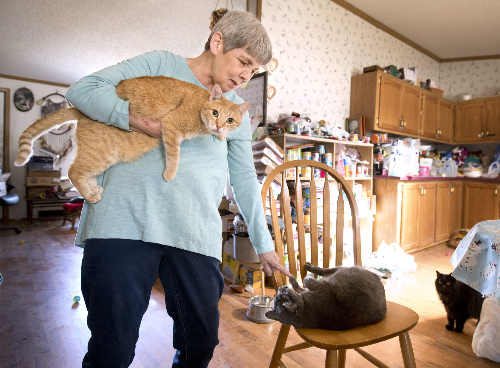 Declining health and pets